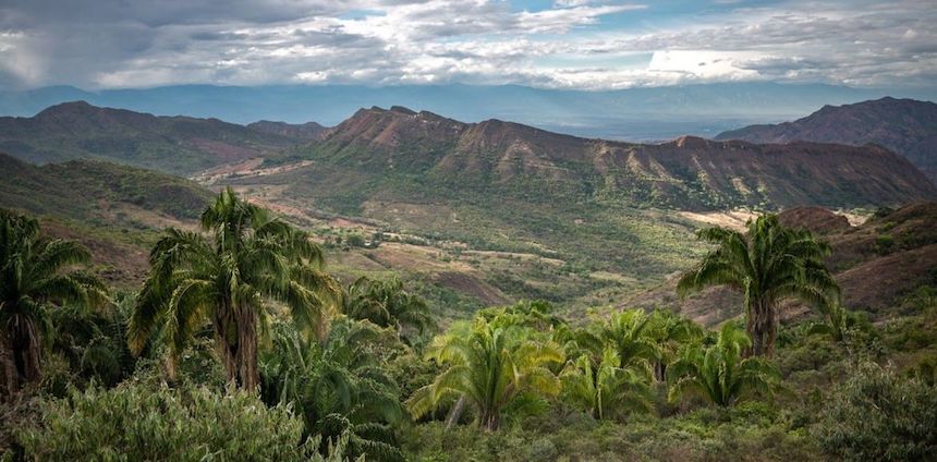 Healing Colombia’s War-Ravaged Landscapes